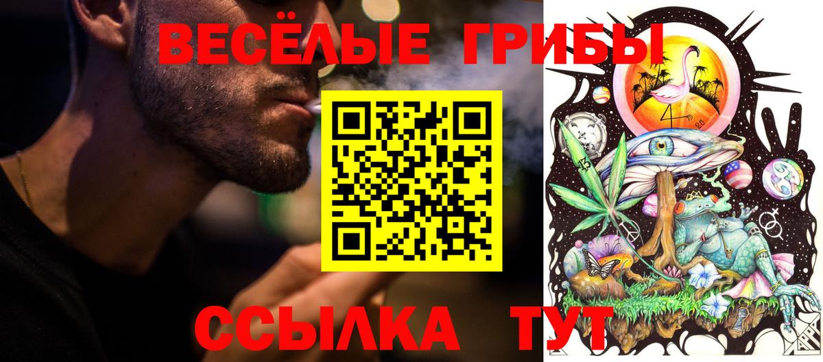 Псилоцибиновые грибы MAGIC MUSHROOMS  Вход с VPN  Воскресенск  Галлюциногенные грибы прущие грибы 